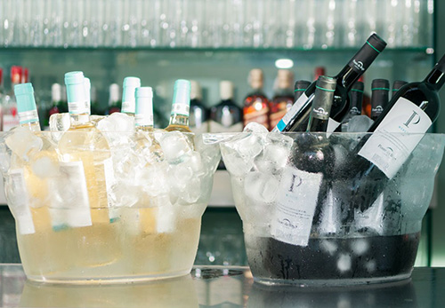 Cata de vinos